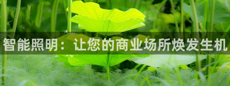 云顶集团游戏入口