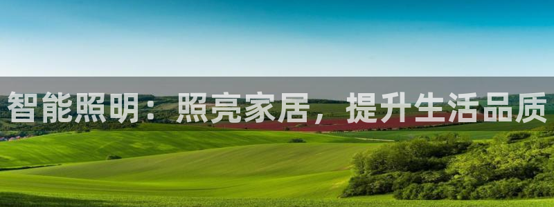 云顶国际酒店老板叫什么