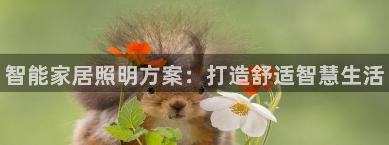 云顶国际培训中心电话