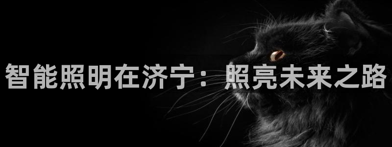 云顶国际商务会所怎么样