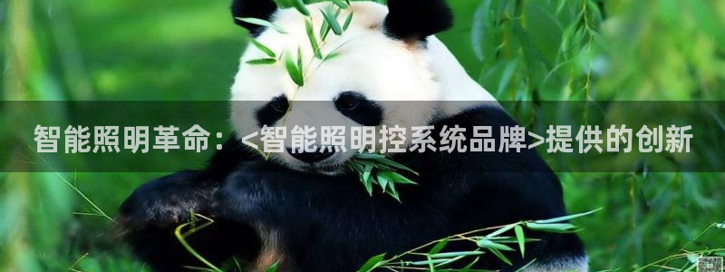 云顶集团游戏app
