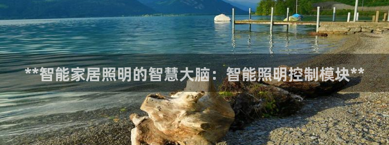 云顶手游国际