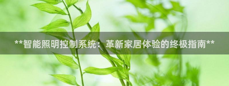 云顶国际培训中心官网