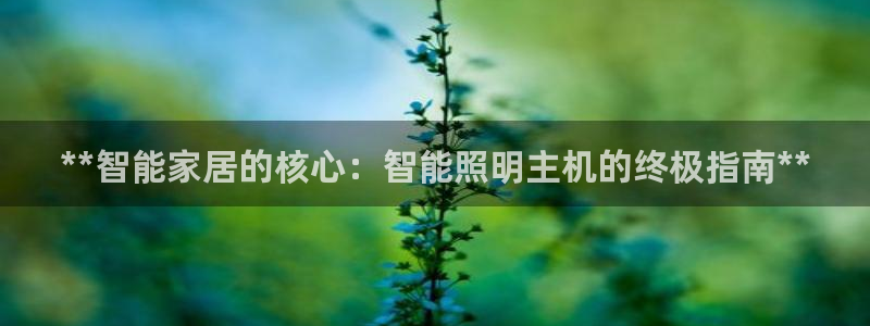 云顶集团专属APP9.0