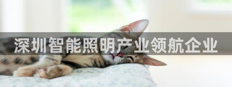 云顶国际nba今日推荐球员名单