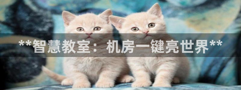 yd云顶国际