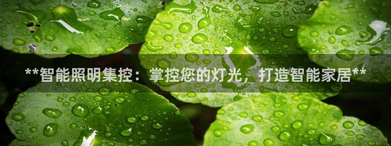 云顶国际缆车起点在哪里啊