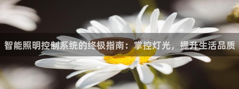 云顶国际麻将胡了