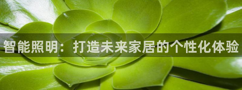 云顶集团有限公司简介图片