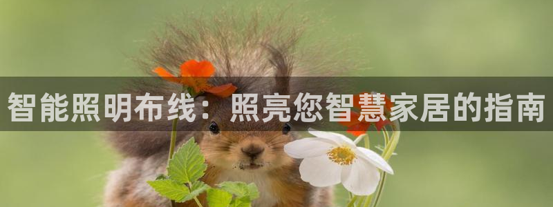 云顶国际林梧桐
