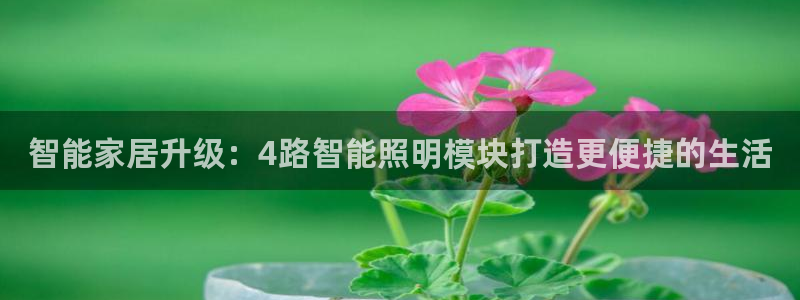 云顶集团网站是多少