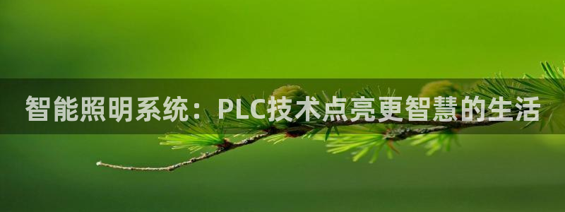 云顶国际公馆产权年限
