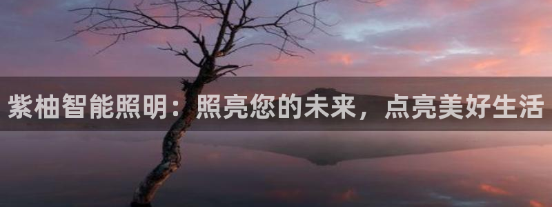 云顶国际游戏网址大全