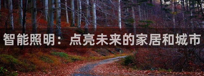 云顶国际会所电话