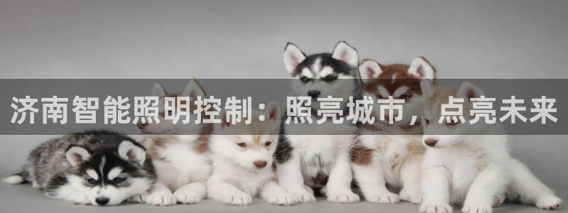 云顶国际服版本