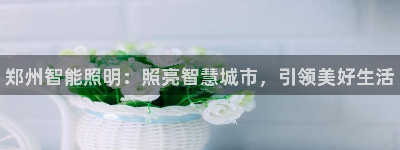 登录云顶集团的网站