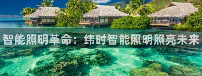 云顶dl