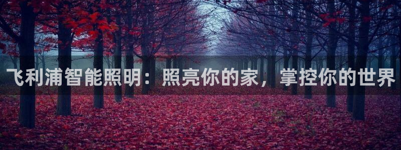云顶国际装饰设计公司