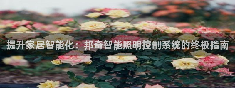 云顶国际服怎么下