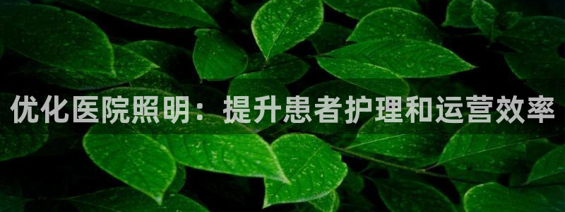 云顶国际(集团)开发实业有限公司