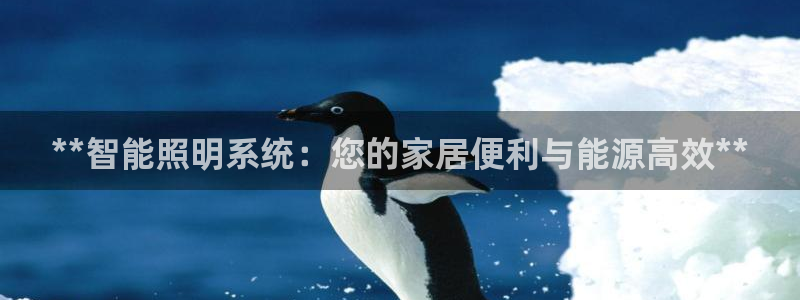 云顶国际集团游戏官网