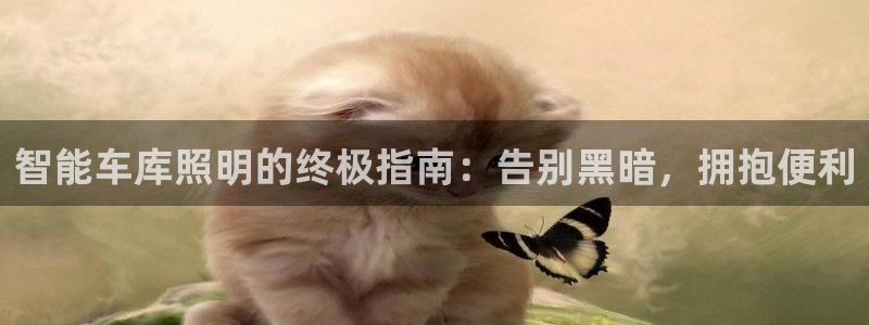 云顶国际的网址是多少