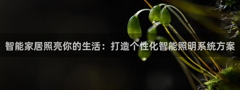 云顶国际商务会所地址