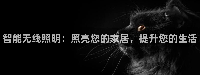 云顶国际app是什么