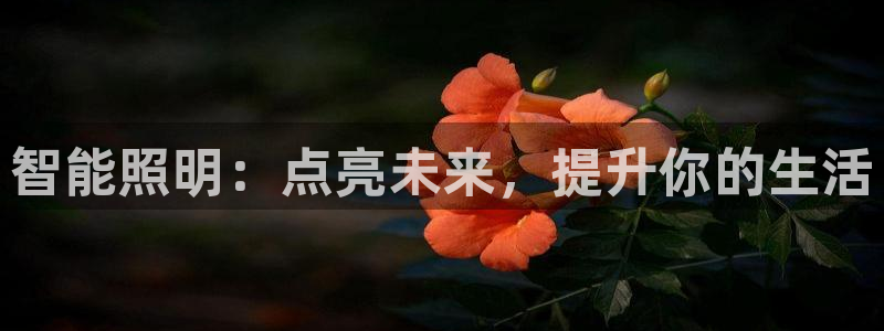 云顶国际服什么时候更新的