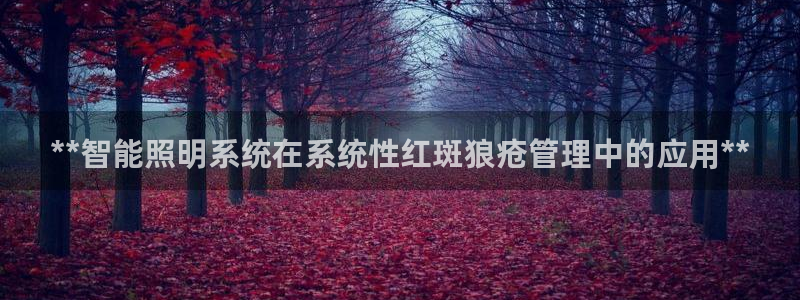 云顶手游国际版