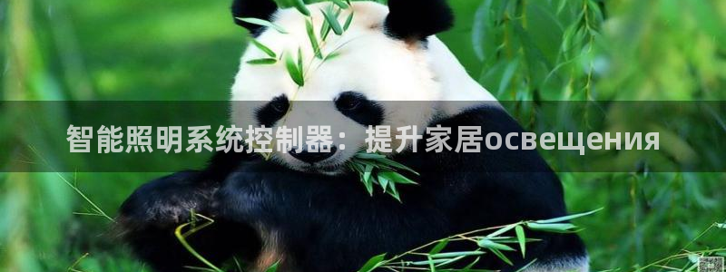 云顶国际服加速器
