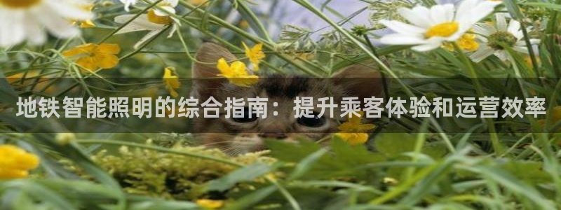 云顶国际公馆多少层楼