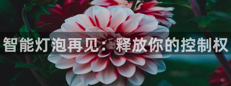 云顶国际是真实网站吗安全吗