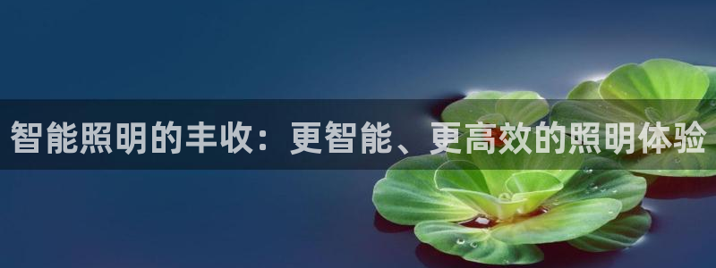云顶国际培训中心地址