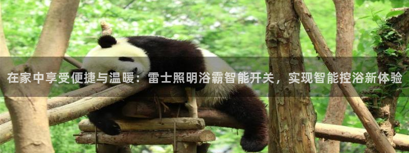 云顶国际服版本