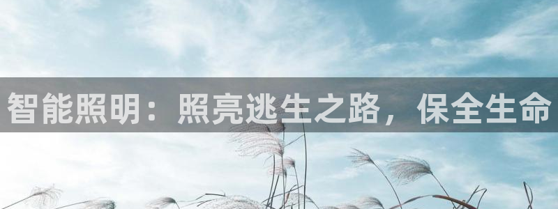 云顶国际公馆二手房
