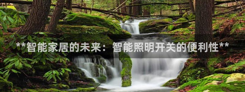 云顶国际酒店老板简介