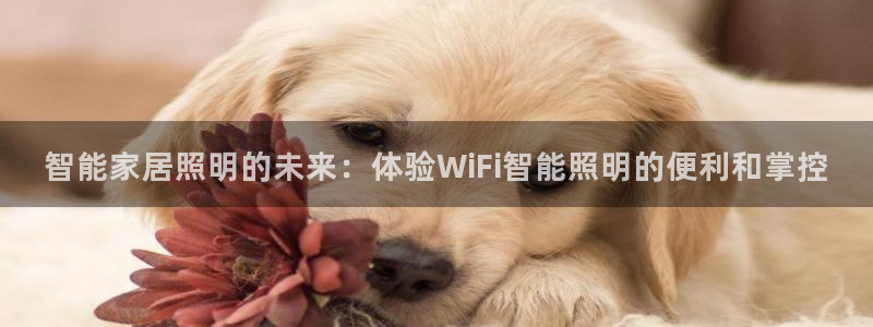 云顶国际公馆户型图