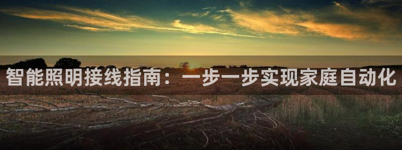 云顶国际平台游戏app