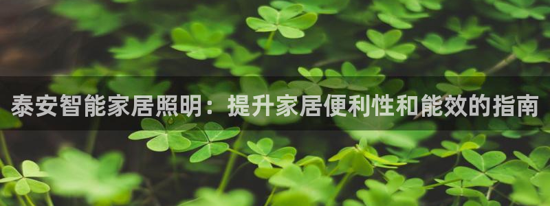 云顶集团进入官网