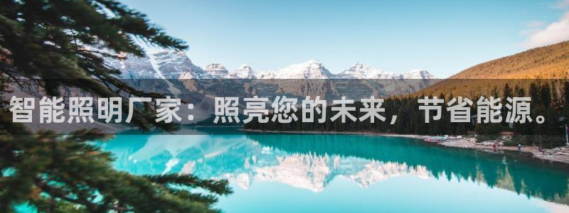 云顶集团简介概况