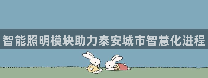 云顶国际软件