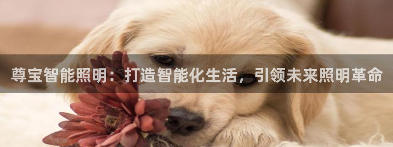 云顶国际服和端游互通吗