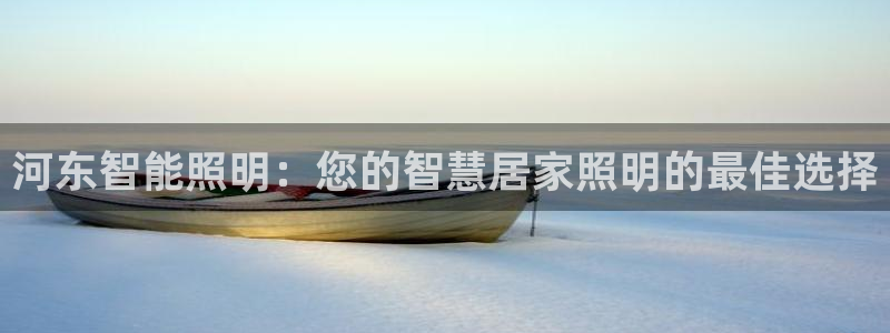 云顶国际AB网