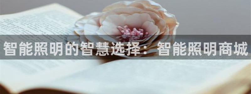云顶国际平台游戏可靠吗