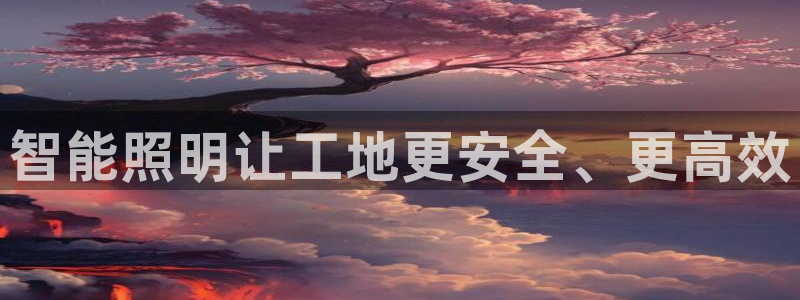 云顶集团林志华简介