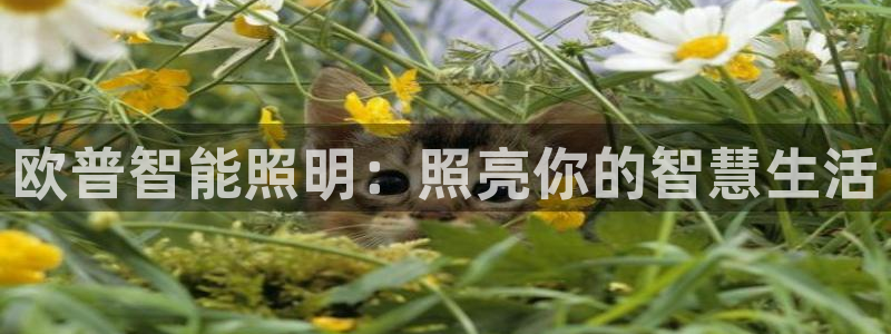 云顶国际太原