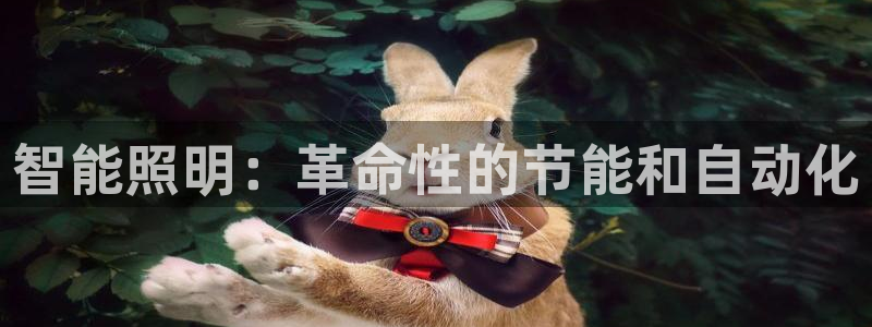 云顶集团专属APP9.0