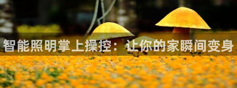云顶国际是不是真的吗