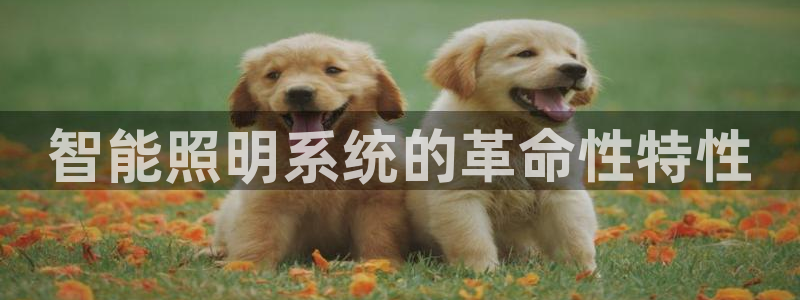云顶国际下载APP